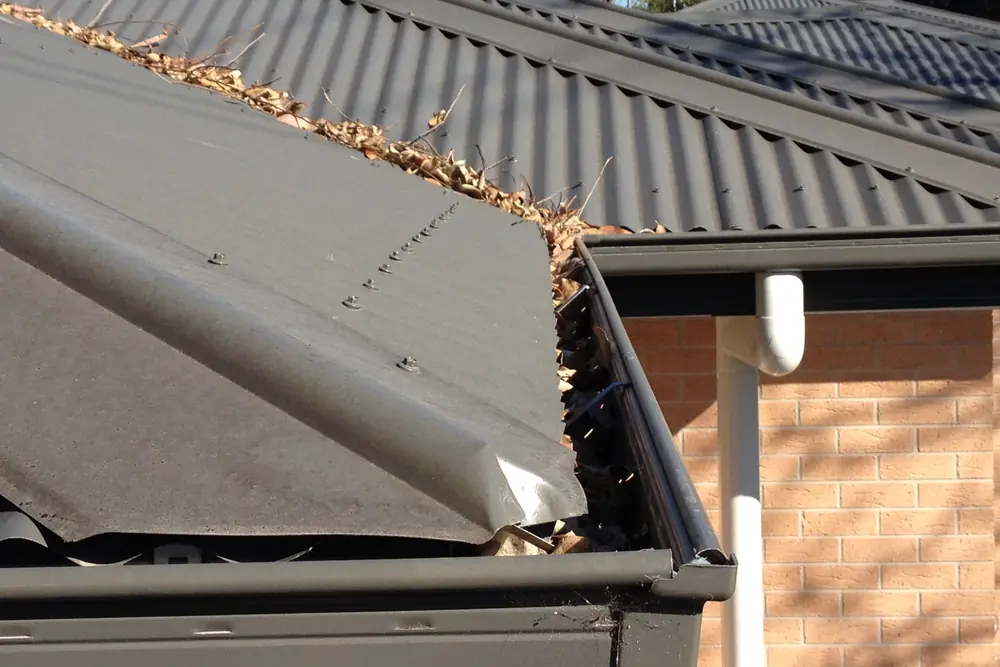 Dry leaf litter resting on the surface of gutter mesh with the gutter clear underneath