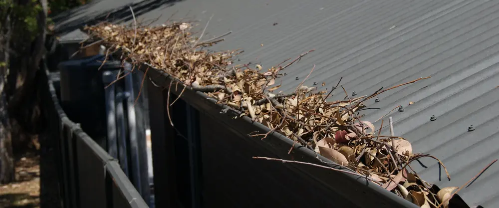 Dry gum leaf litter held on the surface of gutter mesh along a gutter run