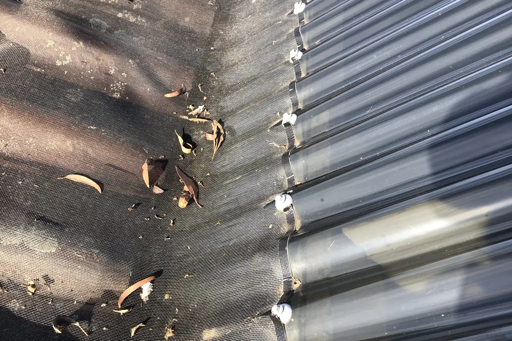 Gutter mesh fitted along the gutter of a dark corrugated roof