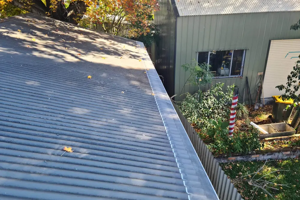 A metal roof with gutter mesh above a garden bed