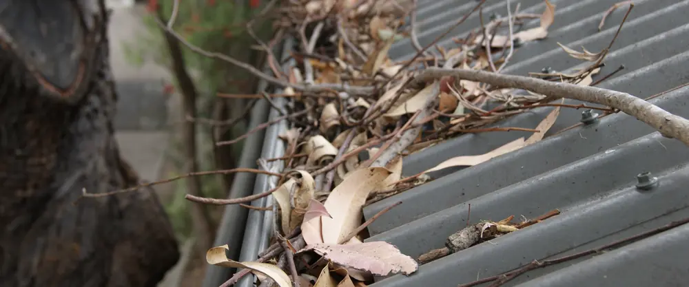 Gum leaves and twigs caught on the surface of gutter mesh at the gutter edge